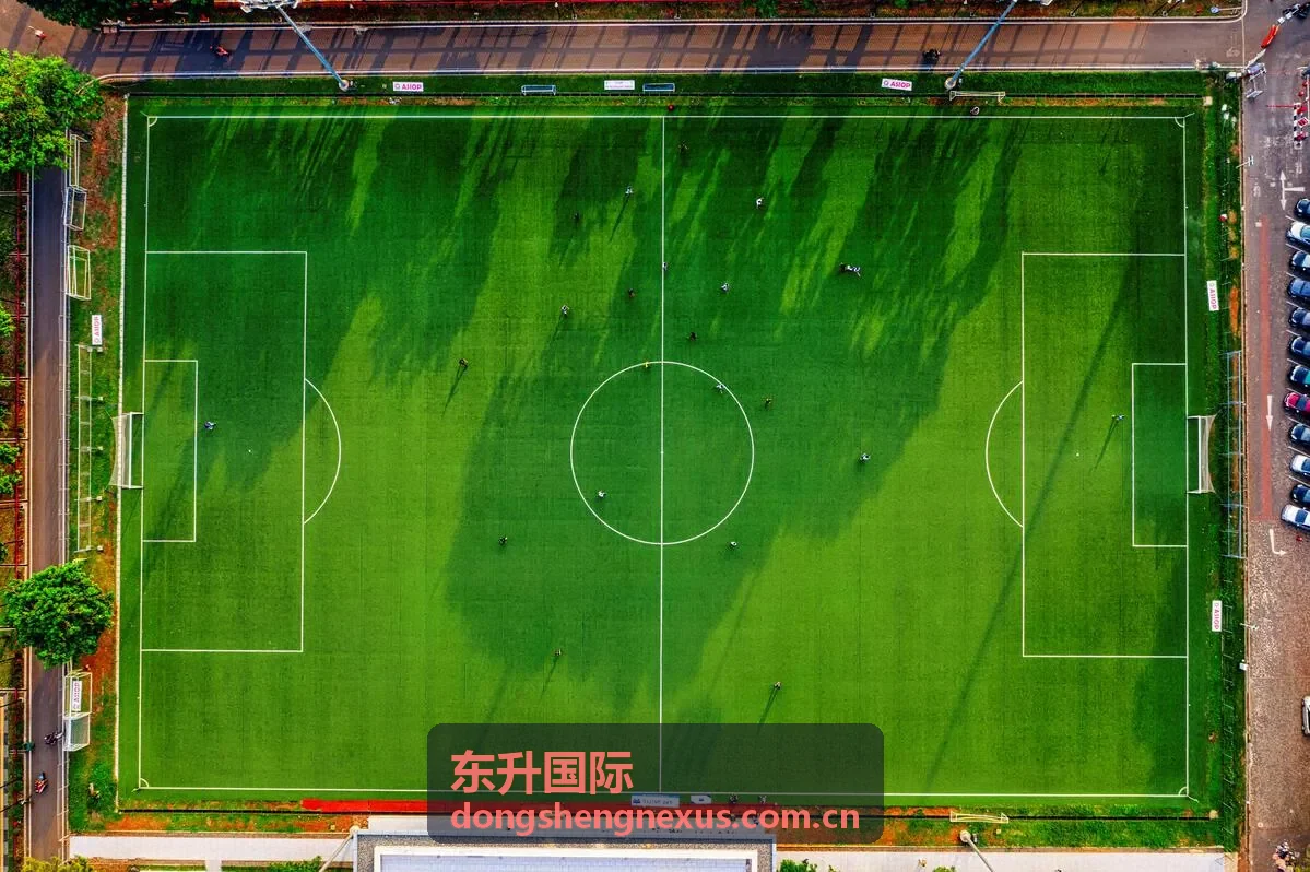 东升国际移动端服务使用场景